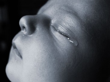 bebe abortado llorando